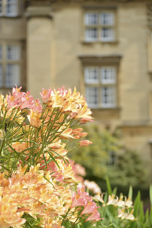 Christ'S College Cambridge 호텔 외부 사진